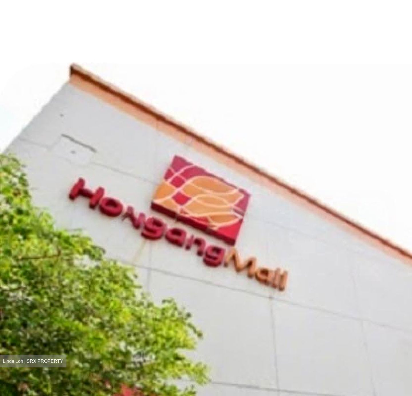 Hougang Street 21 (D19), Retail #629193571